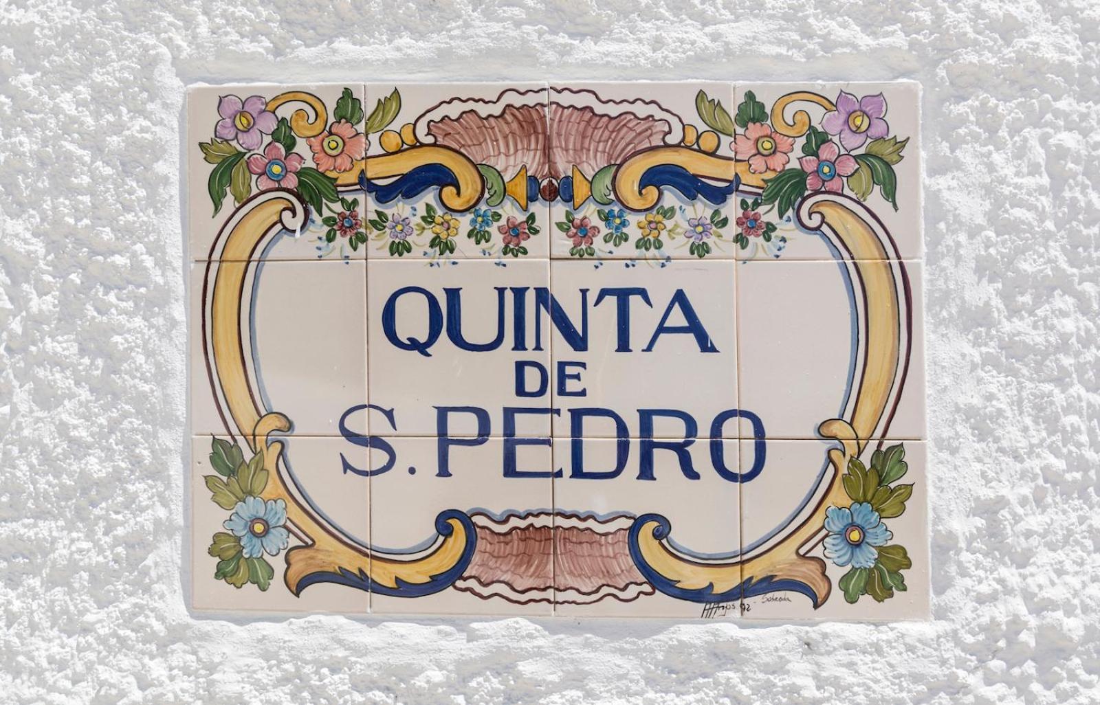 Вилла Quinta De Sao Pedro Sobreda Экстерьер фото